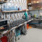 🏠ផ្ទះរកស៊ីបាន 24ម៉ោងលក់បន្ទាន់