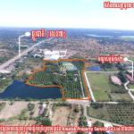 ដីចម្ការស្វាយ និង ផ្ទះ លក់តម្លៃល្អសមរម្យ