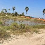 ដីលក់បន្ទាន់តម្លៃក្រោមទីផ្សារ