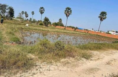 ដីលក់បន្ទាន់តម្លៃក្រោមទីផ្សារ