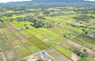 ដីល្អលក់បន្ទាន់