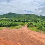 ដីលក់បន្ទាន់