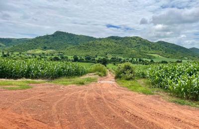 ដីលក់បន្ទាន់